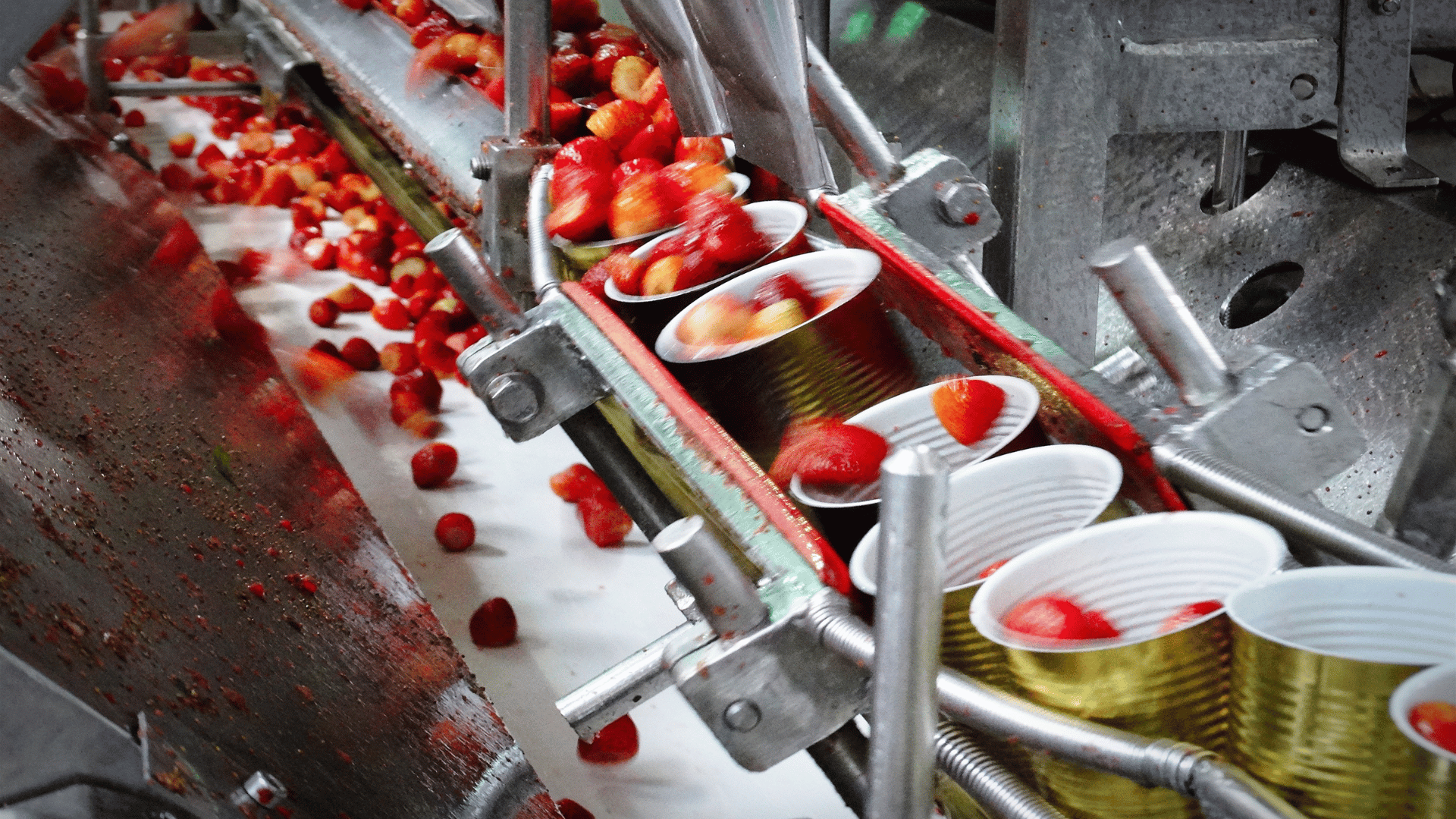 Providing a Dedicated Packing Line Improves Scheduling Across Multiple Production Lines